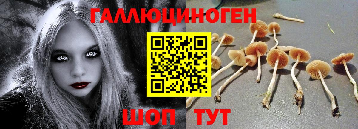 Кумертау  Псилоцибиновые грибы GOLDEN TEACHER  Вход с VPN 